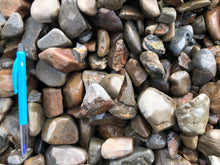 Load image into Gallery viewer, Waipa Stone 20-40mm Decorative Stones Florida Ltd 