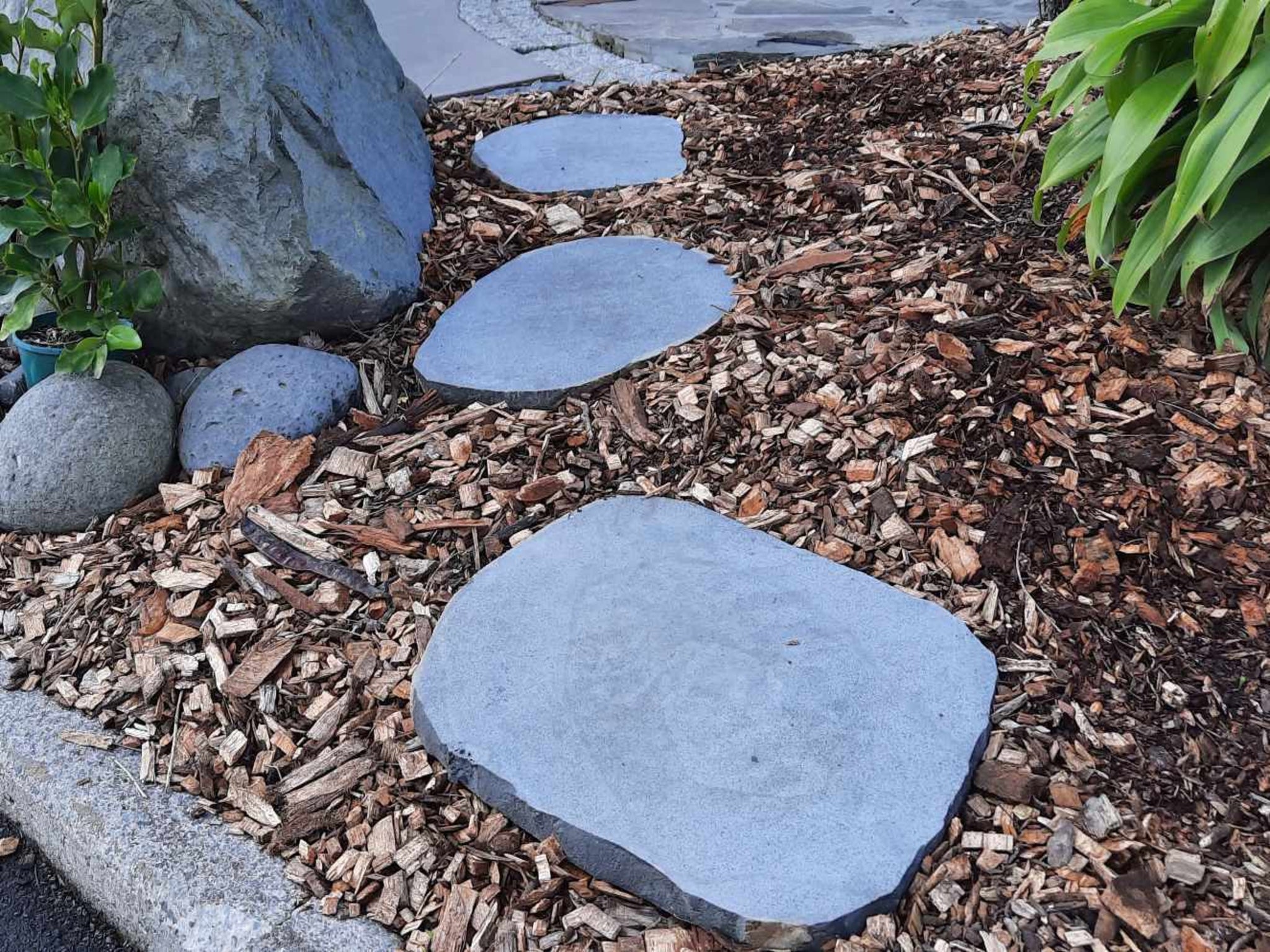 Bluestone Large Bluestone Steppers Medium - 600-700mm | Landscaping Supplies Waikato ...