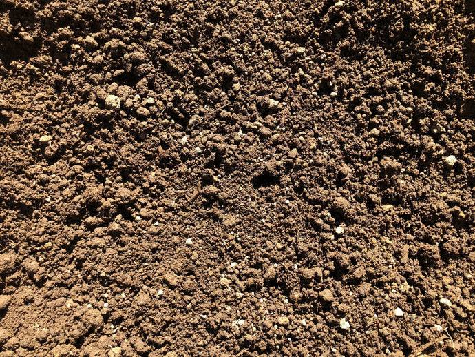 Screened Topsoil Soils Florida Ltd 