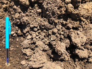 Unscreened Topsoil Soils Florida Ltd 