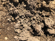 Load image into Gallery viewer, Unscreened Topsoil Soils Florida Ltd 