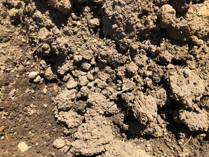 Unscreened Topsoil Soils Florida Ltd 